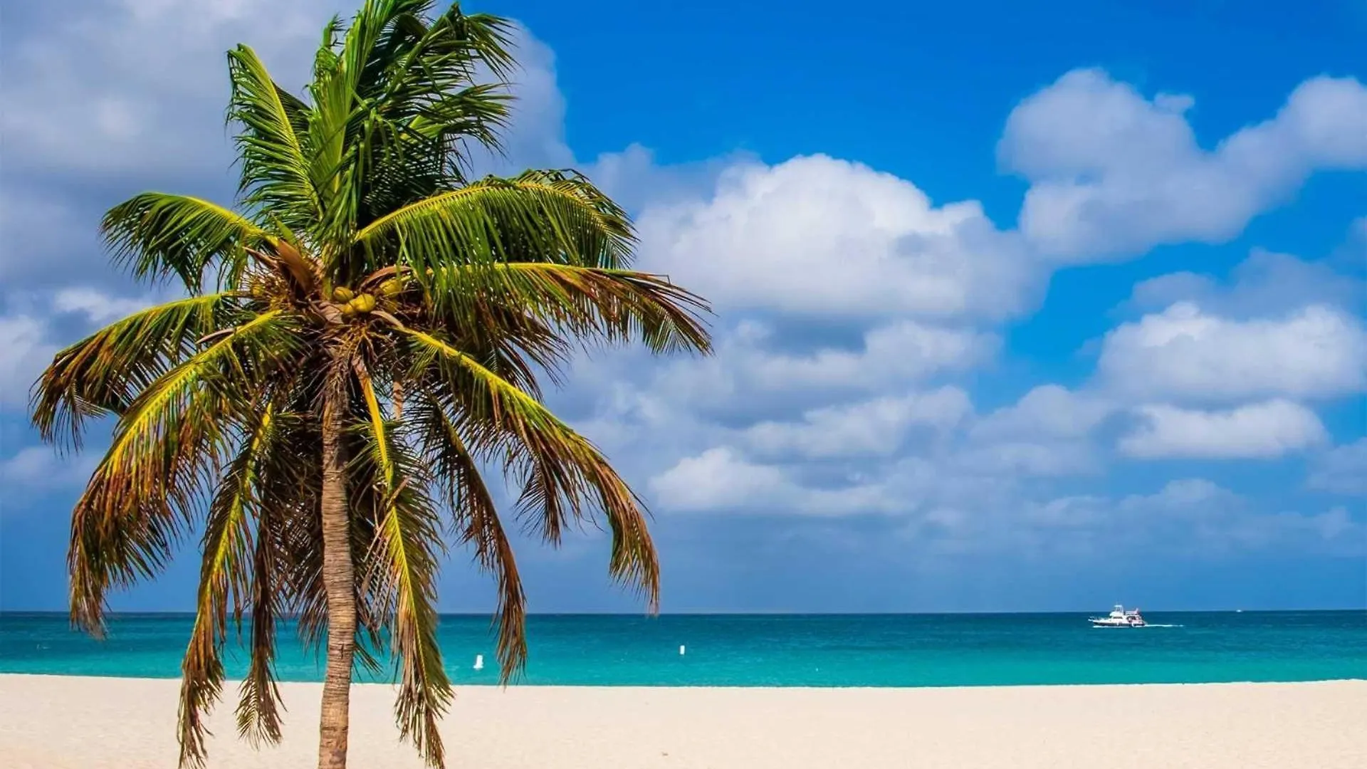 Holiday home Beachfront - Garden Delight 3Br Condo - E125 Palm Beach