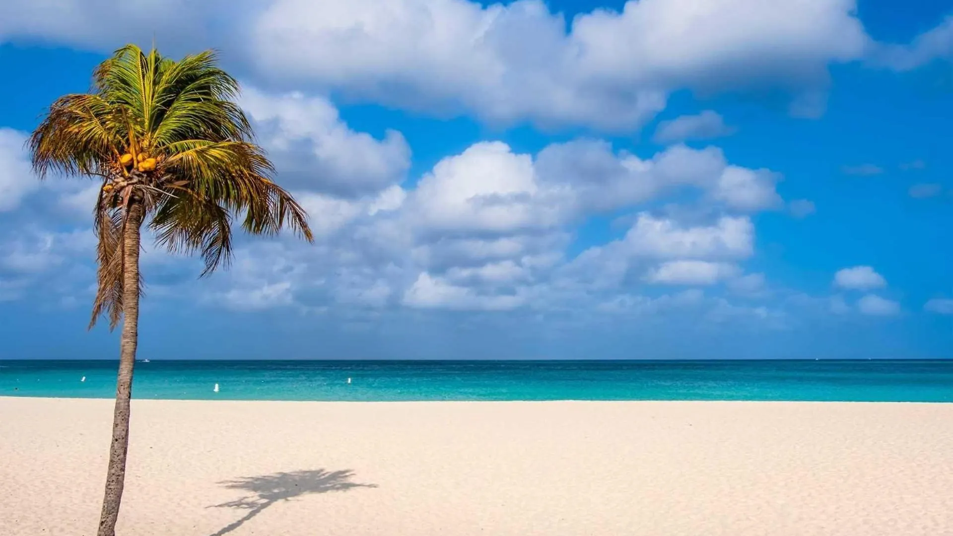 Beachfront - Garden Delight 3Br Condo - E125 Palm Beach Aruba