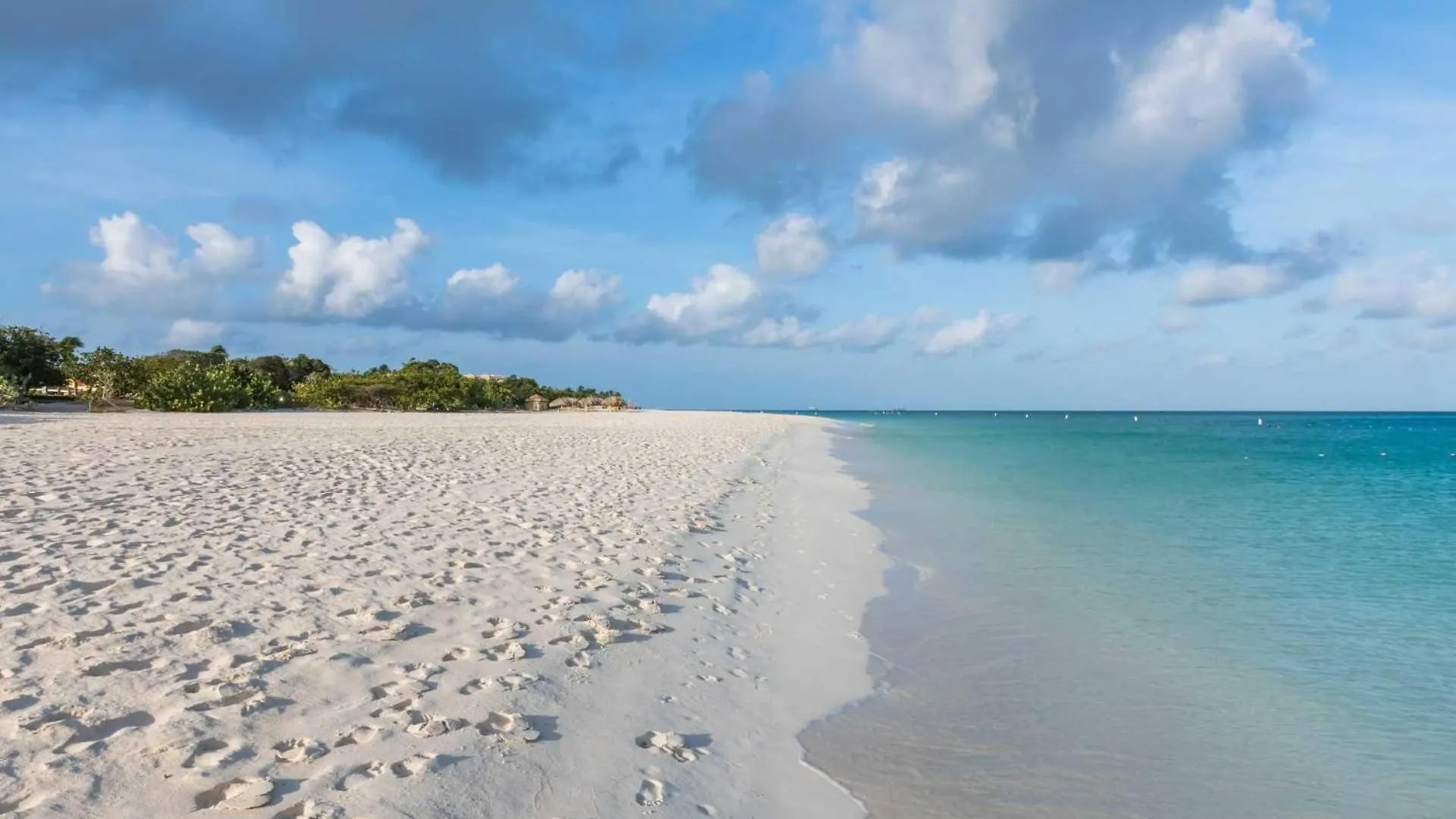 Beachfront - Garden Delight 3Br Condo - E125 Palm Beach