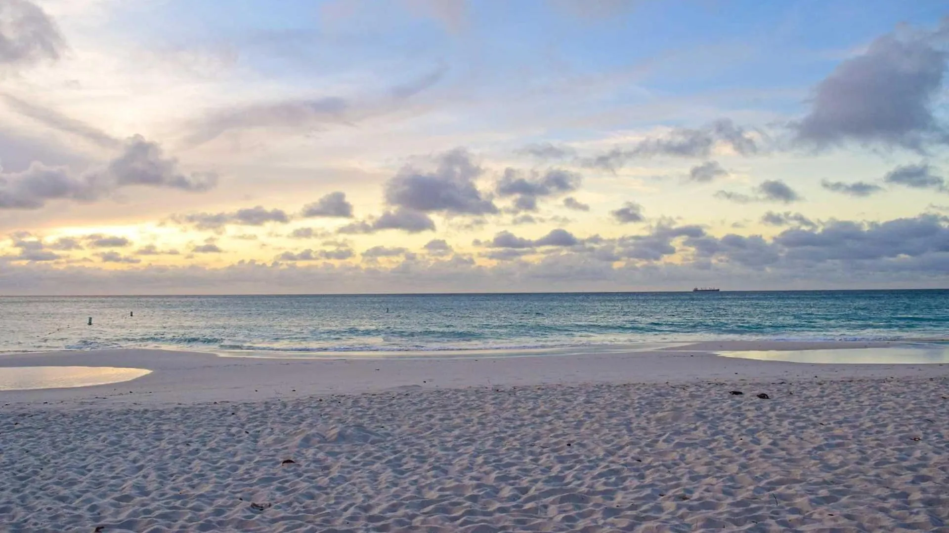 Beachfront - Garden Delight 3Br Condo - E125 Palm Beach 0*,